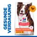 Hills Science Plan Canine Perfect Digestion Adult Medium Trockenfutter für Hunde