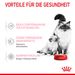 Royal Canin Mother & Babycat Ultra Soft Mousse Dosen für Katzen