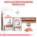 Royal Canin Gastrointestinal Low Fat Trockenfutter für Hunde Royal Canin Gastrointestinal Low Fat Trockenfutter für Hunde