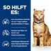 Hills Feline c/d Multicare Huhn Frischebeutel für Katzen