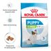 Royal Canin X-Small Puppy Trockenfutter für Hunde Royal Canin X-Small Puppy Trockenfutter für Hunde