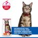 Hills Science Plan Feline Adult Trockenfutter für Katzen
