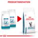 Royal Canin Skin & Coat Trockenfutter für Katzen Royal Canin Skin & Coat Trockenfutter für Katzen