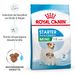 Royal Canin Mini Starter Trockenfutter Royal Canin Mini Starter Trockenfutter