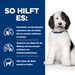 Hills Urinary Care c/d Multicare Ragout in Dosen für Hunde