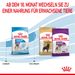 Royal Canin Giant Junior Welpentrockenfutter für sehr große Hunde Royal Canin Giant Junior Welpentrockenfutter für sehr große Hunde