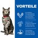 Hills Science Plan Feline Adult Urinary Health Huhn Trockenfutter für Katzen