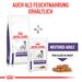 Royal Canin Neutered Adult Medium Dogs Trockenfutter für Hunde