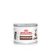 Royal Canin Gastrointestinal Kitten Dosenfutter