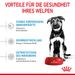 Royal Canin Maxi Puppy Trockenfutter für Welpen großer Rassen Royal Canin Maxi Puppy Trockenfutter für Welpen großer Rassen