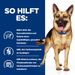 Hills Prescription Diet Canine Gastrointestinal Biome Ragout in Dosen für Hunde