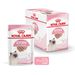 Royal Canin Kitten Frischebeutel Mousse