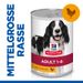 Hills Science Plan Canine Adult Huhn Dosenfutter für Hunde