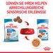 Royal Canin Medium Puppy Frischebeutel in Soße