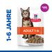 Hills Science Plan Feline Adult Rind Frischebeutel für Katzen