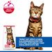 Hills Science Plan Feline Adult Light Huhn Trockenfutter für Katzen