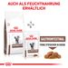 Royal Canin Gastrointestinal Trockenfutter für Katzen