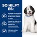 Hills Urinary Care c/d Multicare Dosenfutter für Hunde