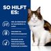 Hills Feline w/d Multi-Benefit Dosenfutter für Katzen