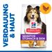 Hills Science Plan Canine Adult Sensitive Stomach & Skin mit Huhn Trockenfutter