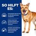Hills i/d Hundefutter mit Truthahn in kleinen Dosen
