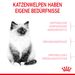 Royal Canin Kitten Trockenfutter