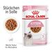 Royal Canin Kitten Frischebeutel in Soße Royal Canin Kitten Frischebeutel in Soße