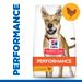 Hills Science Plan Canine Adult Performance Huhn Trockenfutter für Hunde