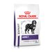 Royal Canin Adult Large Dogs Trockenfutter für Hunde