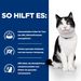 Hills i/d mit ActivBiome+ Ragout in Dosen für Katzen