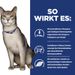 Hills k/d Trockenfutter für Katzen Hills k/d Trockenfutter für Katzen