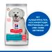 Hills Science Plan Hypoallergenic Small & Mini Adult Trockenfutter für Hunde