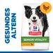 Hills Science Plan Canine Senior Vitality Medium Mature Adult 7+ Trockenfutter mit Huhn & Reis