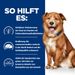 Hills Prescription Diet Canine Derm Complete Trockenfutter für Hunde