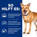 Hills i/d Trockenfutter für Hunde
