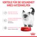 Royal Canin Kitten Frischebeutel Mousse