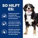 Hills Metabolic + Mobility Dosenfutter für Hunde