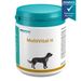 almapharm MultiVital H für Hunde almapharm MultiVital H für Hunde