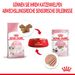 Royal Canin Kitten Frischebeutel Mousse