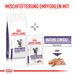 Royal Canin Mature Consult Balance Trockenfutter für Katzen Royal Canin Mature Consult Balance Trockenfutter für Katzen