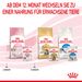 Royal Canin Kitten Frischebeutel Mousse