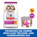 Hills Science Plan Small & Mini Mature Adult Mousse für Hunde mit Rindfleisch Dosenfutter