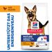 Hills Science Plan Canine Mature Adult 6+ Large Breed Hund Trockenfutter