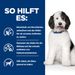 Hills Urinary Care c/d Multicare Trockenfutter für Hunde