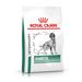Royal Canin Diabetic Trockenfutter für Hunde Royal Canin Diabetic Trockenfutter für Hunde