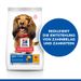 Hills Science Plan Canine Adult Oral Care Huhn Trockenfutter