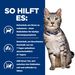 Hills Prescription Diet Feline c/d Multicare Urinary Stress + Metabolic Trockenfutter für Katzen