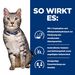 Hills Prescription Diet Feline c/d Multicare Urinary Stress + Metabolic Trockenfutter für Katzen