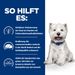Hills Prescription Diet Canine Derm Complete Mini Trockenfutter für kleine Rassen