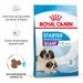 Royal Canin Giant Starter Trockenfutter
